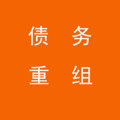 宽甸个人债务重组优化